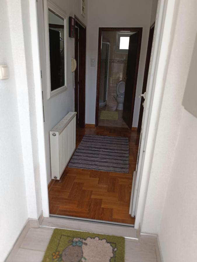 Serbian Home With Garden Krnjaca 外观 照片