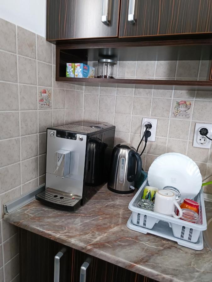 Serbian Home With Garden Krnjaca 外观 照片