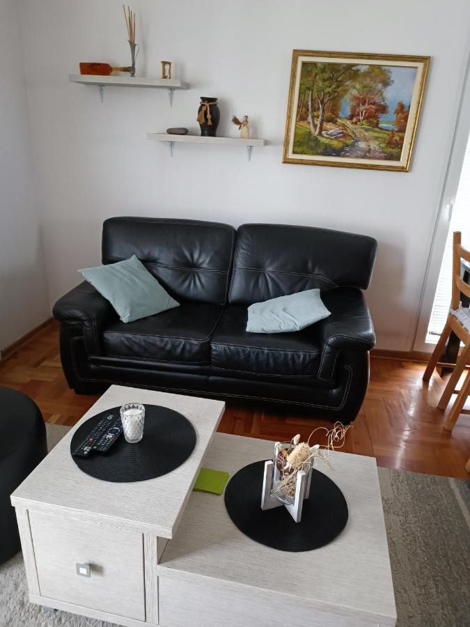 Serbian Home With Garden Krnjaca 外观 照片
